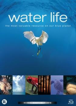   (1-26   26) / Water Life AVO