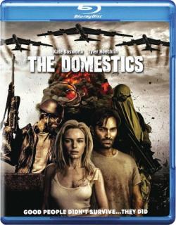  / The Domestics MVO