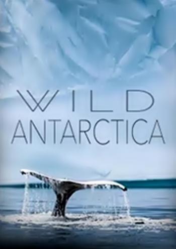   / NatGeo. Wild Antarctica VO