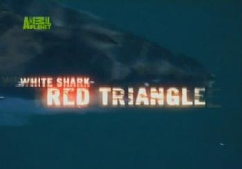   -   / BBC: White Shark - Red Triangle VO