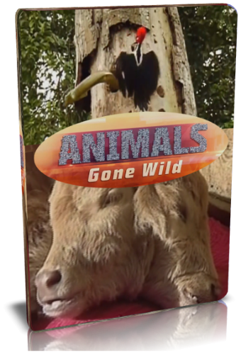    (1-9   9) / NAT GEO WILD. Animals Gone Wild VO