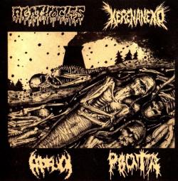 VA - Agathocles & Kerenaneko & Prosuck & Rvota