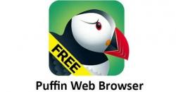 Puffin Web Browser 3.0.9864 ENG