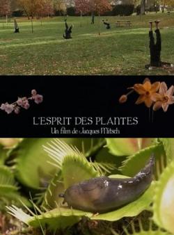   / L'esprit des plantes